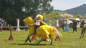Festival multi-époque du 08 et 09 Juin 2018 à Comps 20180609 154147