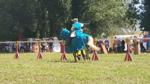 Festival multi-époque du 08 et 09 Juin 2018 à Comps 20180609 154353