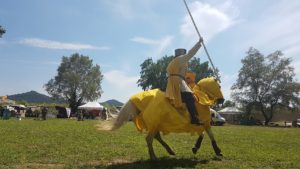 Festival multi-époque du 08 et 09 Juin 2018 à Comps 20180609 155144