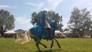 Festival multi-époque du 08 et 09 Juin 2018 à Comps 20180609 155151