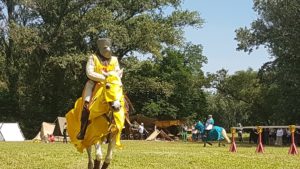 Festival multi-époque du 08 et 09 Juin 2018 à Comps 20180609 155210