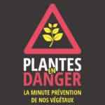 La Minute Info & Prévention : Xylella , Plantes en Danger ! logo Xylella