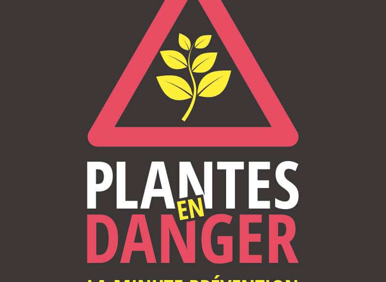 logo Xylella