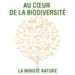 La Minute Info & Prévention : Au cœur de la biodiversité ! logo chasse