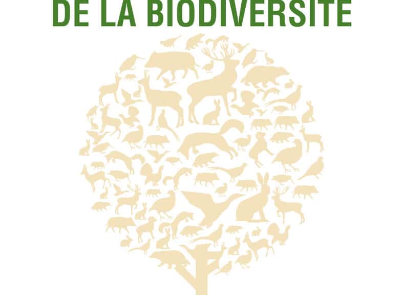 logo chasse