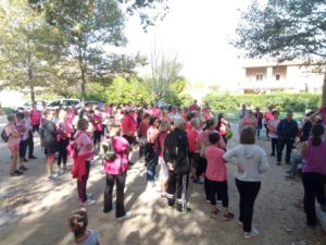 Octobre Rose : une première édition concluante Aramon en Rose 2