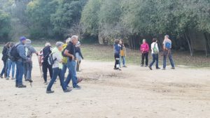 Jour de la Nuit à Sernhac avec Nadège (Entre Garrigues et Gardon) Le Jour de la Nuit à Sernhac 3