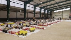 Opération « Petit Déjeuner » avec Trisomie 21 Gard Préparation des petits déjeuners