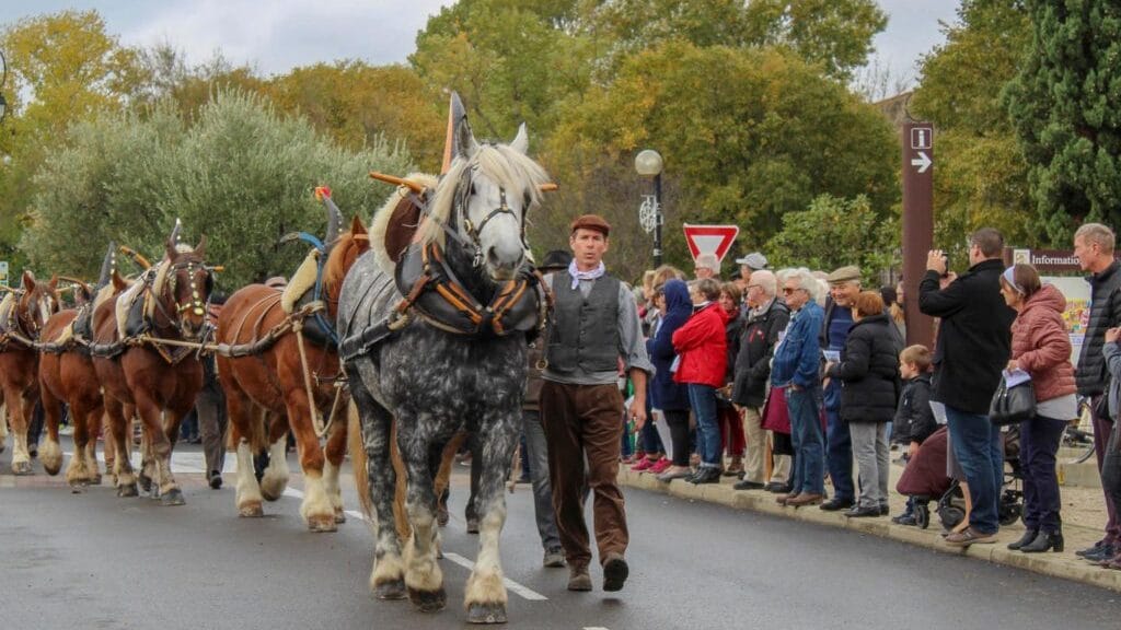 Retour sur la foire de la Saint Martin ©Aramon