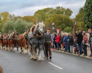 Retour sur la foire de la Saint Martin ©Aramon