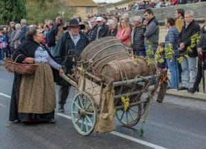 Retour sur la foire de la Saint Martin ©Aramon