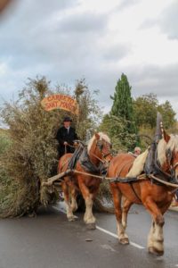 Retour sur la foire de la Saint Martin ©Aramon