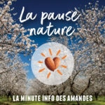 La Pause nature ! La minute info des  amandes