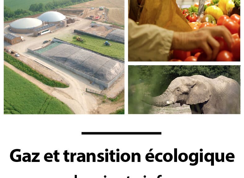 Gaz et transition écologique la minute info.