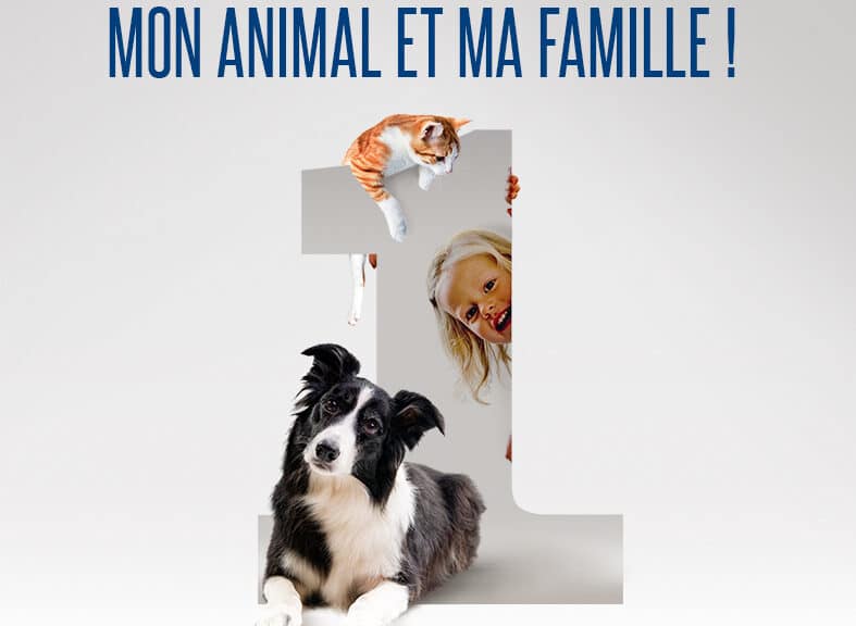 Les parasites, mon animal et ma famille ! , la chronique santé et prévention