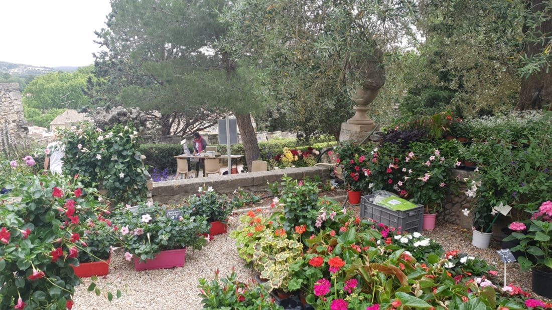5ème Fête des Plantes ©Radio RG30 5ème Fête des Plantes ©Radio RG30