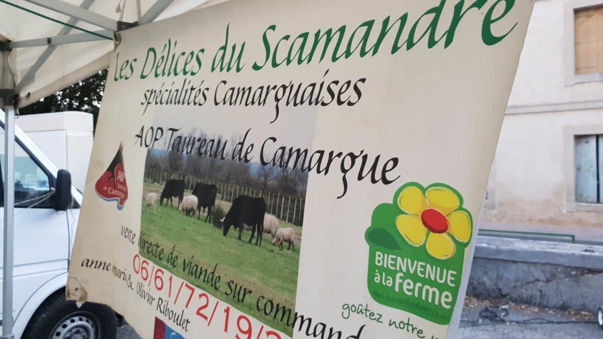 Les Délices du Scamandre ©Radio RG30 Les Délices du Scamandre ©Radio RG30