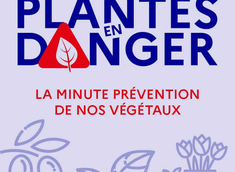 logo xylella 2020