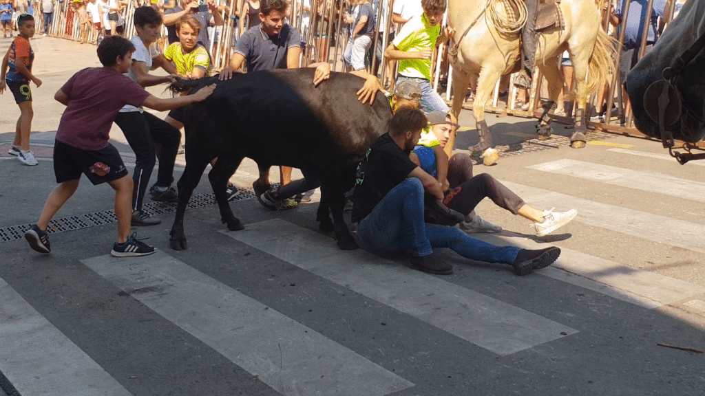 Fête votive Montfrin 2018 ©Radio RG30 (Archive)