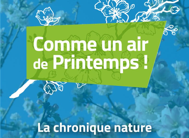 LOGO Printemps CdF 2022
