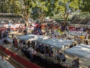 Le forum des associations montfrinoises - 09 septembre 2023