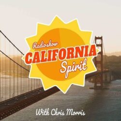 z logo California Spirit 2 e1710236371664